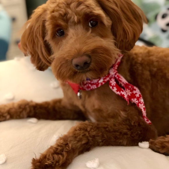 Hello! - Picture 7 of 8